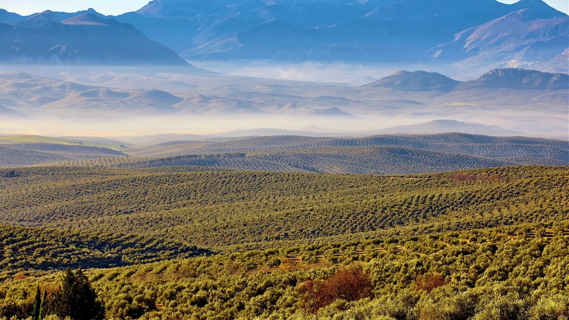 Saturday - Departure